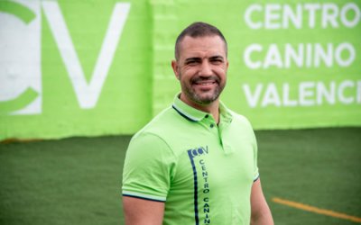 Gimnasio para perros en Valencia