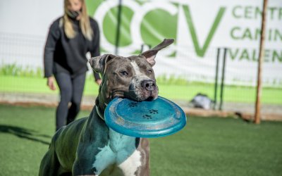 Iniciación al Disc Dog