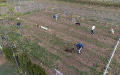 El parque canino no es un pipican